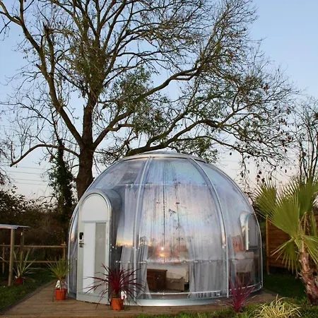 Maison Thalène - La Bulle Glamping *