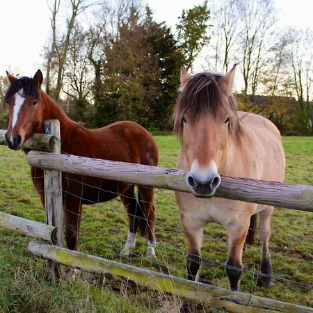 Maison Thalene - La Bulle *