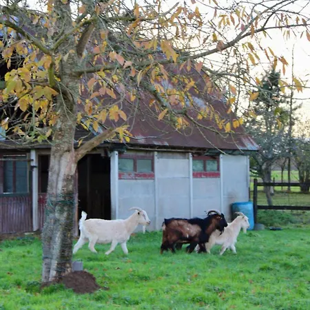 ラグジュアリーテント Maison Thalene - La Bulle *