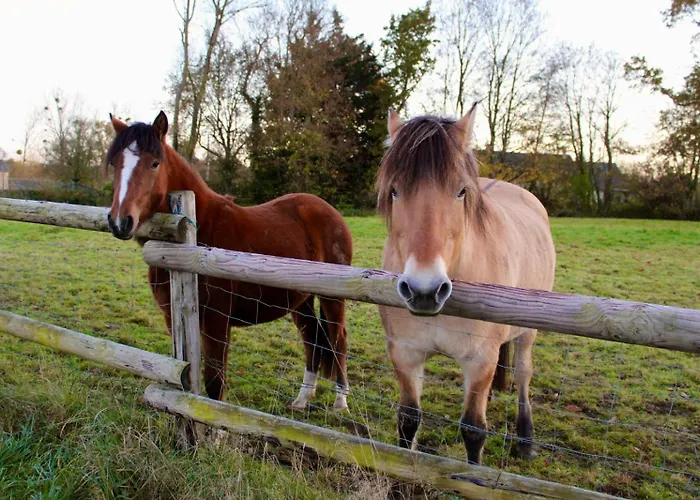Maison Thalene - La Bulle *