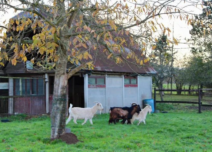 ラグジュアリーテント Maison Thalene - La Bulle *